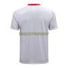 Manchester United Trainings Poloshirt 2022-23 Weiße Für Herren